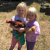 debbie_bigelow